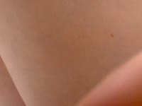 Alesiabelini