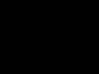 Laribr